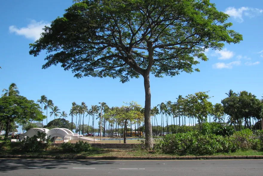 Ala Moana Beach Park