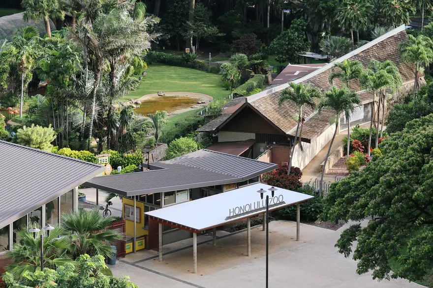 Honolulu Zoo