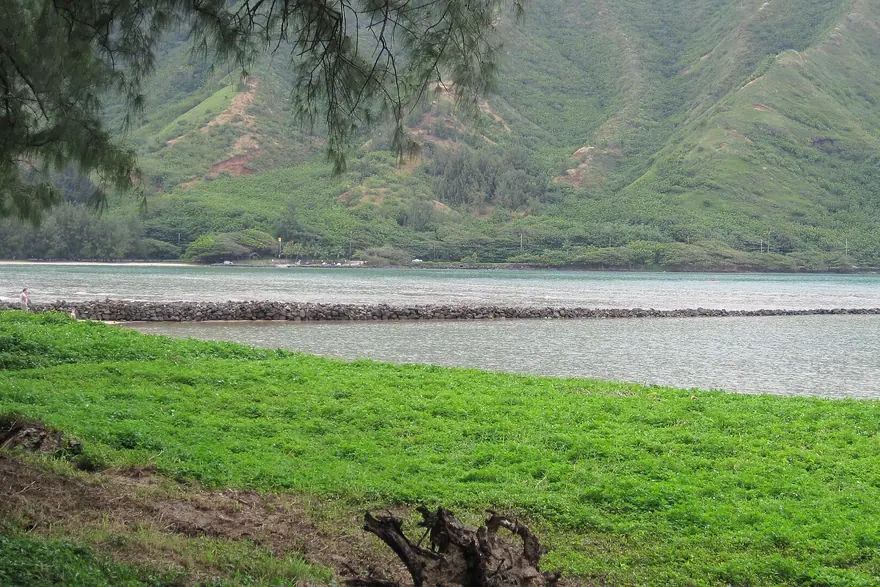Huilua Fishpond