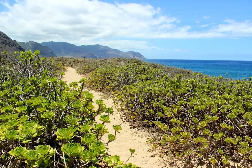 Kaena Point, Keawaula end
