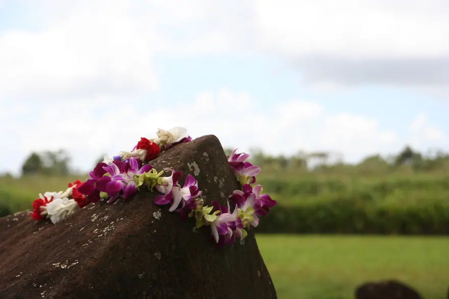 Kukaniloko Birth Stones
