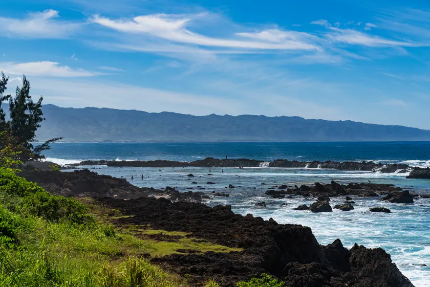 Shark's Cove