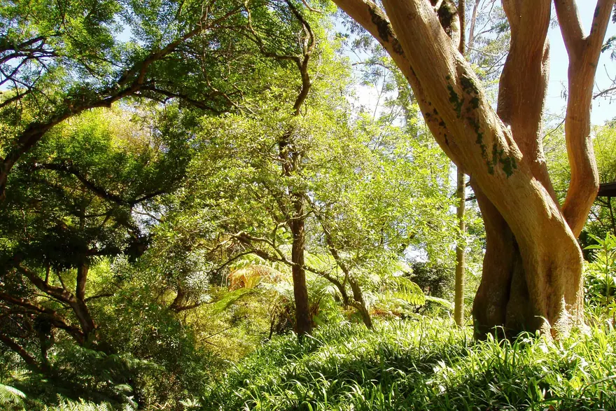 Wahiawā Botanical Garden